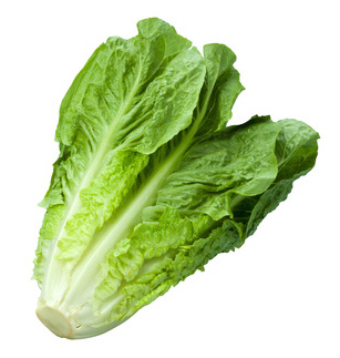 Romaine Lettuce